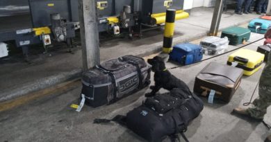 PF e PC fazem operação conjunta para combater chegada de drogas em bagagens no Aeroporto de Salvador 5