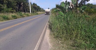 Mato toma acostamento da Via Cascalheira e moradores cobram manutenção do Governo do Estado 4