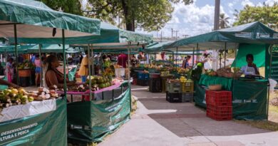 Feira de Jauá passa a funcionar temporariamente em novo local 3