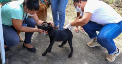 Campanha de vacinação antirrábica animal segue até 17/9 em Camaçari 2