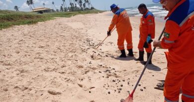 Defesa Civil faz retirada de resíduos de óleo em quatro praias de Camaçari 2