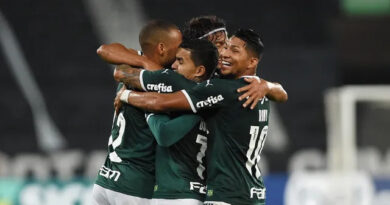 Palmeiras vence o Botafogo de virada e segue com boa vantagem na liderança do Brasileirão 3