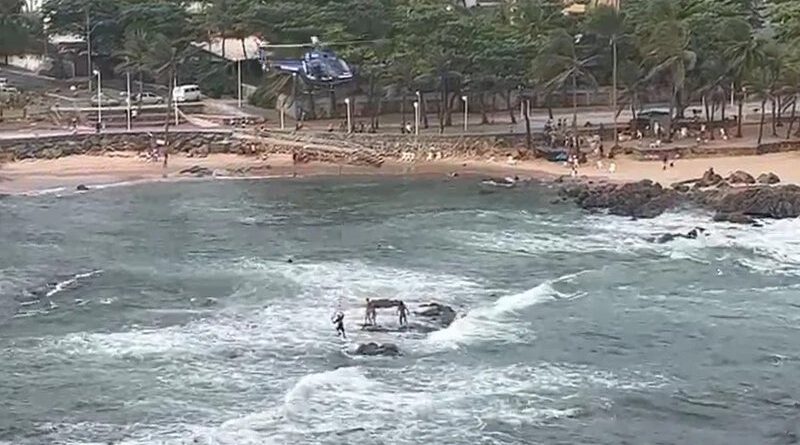 Turista inglês é resgatado pelo Graer na praia de Itapuã 1