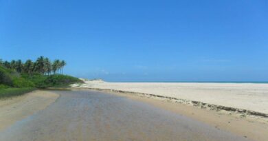 Substância encontrada no litoral de Camaçari é reconhecida por pescador na praia de Subaúma-BA 4