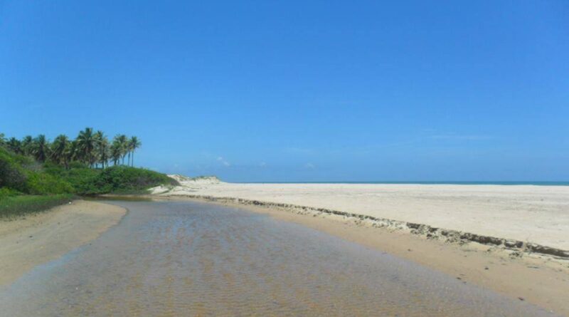 Substância encontrada no litoral de Camaçari é reconhecida por pescador na praia de Subaúma-BA 1