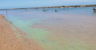 Com pouca restrição de acesso às praias, substância esverdeada que apareceu em  Jauá e Barra do Jacuípe já provoca mal estar na saúde da população 2