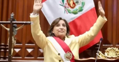 Vice de Pedro Castillo, Dina Boluarte, assume presidência do Peru e promete governar com forças democráticas