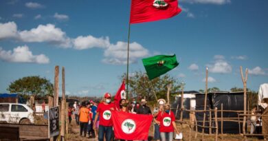 Associação de produtores sobe o tom com invasores sem terra 4