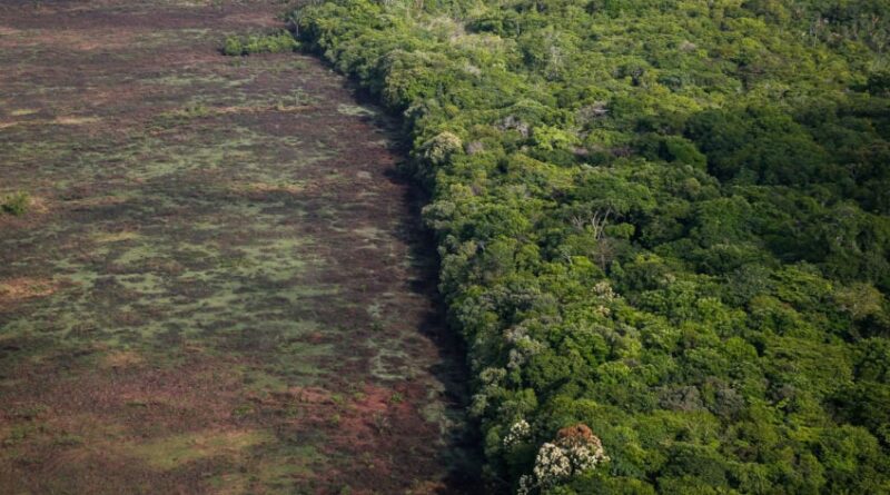 Agenda ambiental do governo Lula não surte efeito e desmatamento cresce no cerrado e na Amazônia 1