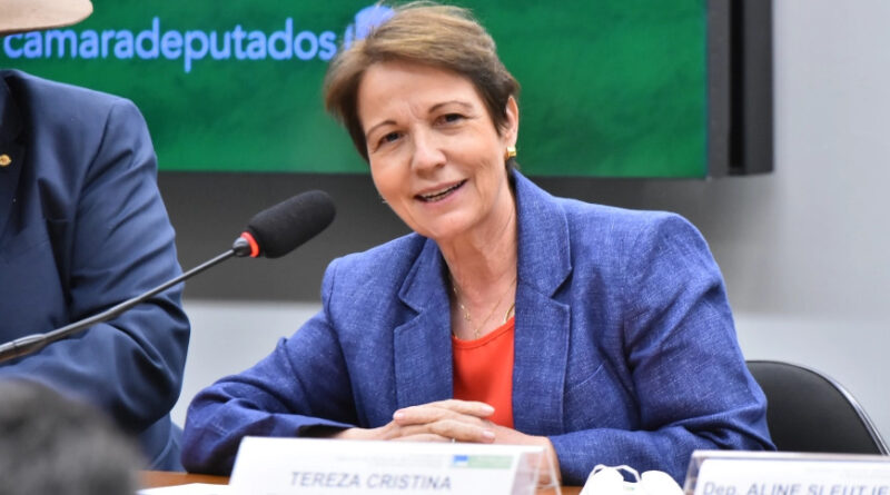 Manifestantes invadem fazenda da senadora Tereza Cristina 1