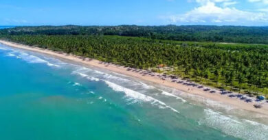 Órgão federal suspende autorização para construção de resort de luxo em Boipeba 4