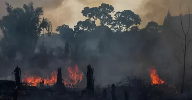 Amazônia e Cerrado registram em junho maior número de queimadas em 16 anos