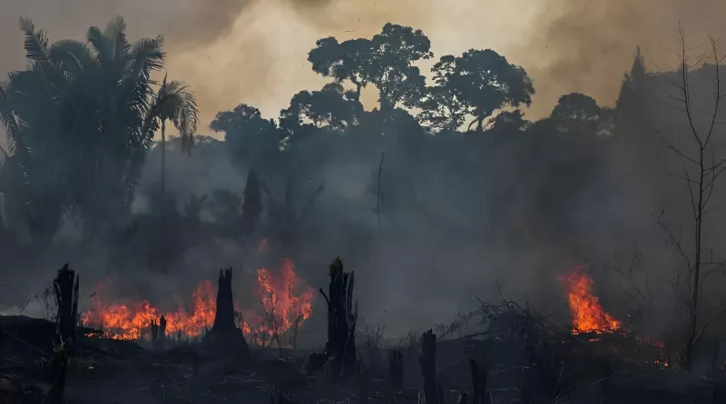 Amazônia e Cerrado registram em junho maior número de queimadas em 16 anos