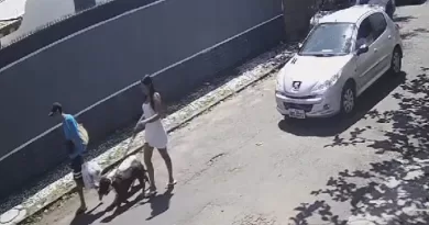 Mulher é atropelada durante passeio e motorista foge em Vilas do Atlântico