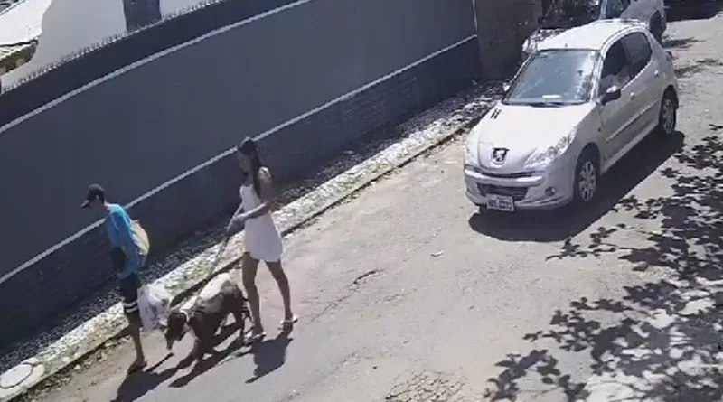 Mulher é atropelada durante passeio e motorista foge em Vilas do Atlântico