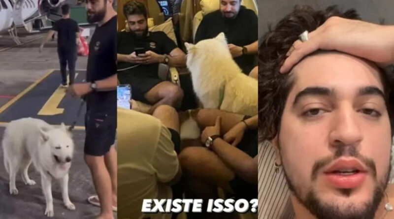 Cantores Henrique e Juliano "sequestram" cachorros do forrozeiro Nattan em pegadinha hilária