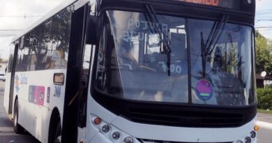 Dono da Safira diz que ônibus volta à normalidade nesta terça-feira (12)