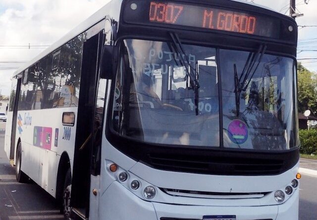 Dono da Safira diz que ônibus volta à normalidade nesta terça-feira (12)