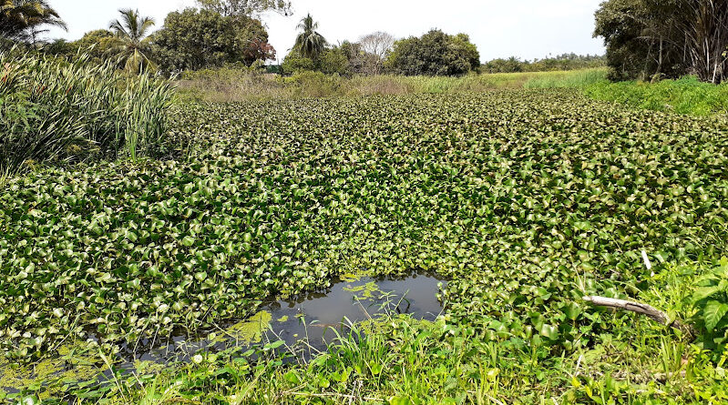 Novo PAC destina R$ 379,7 milhões à sede e deixa Orla de Camaçari de fora