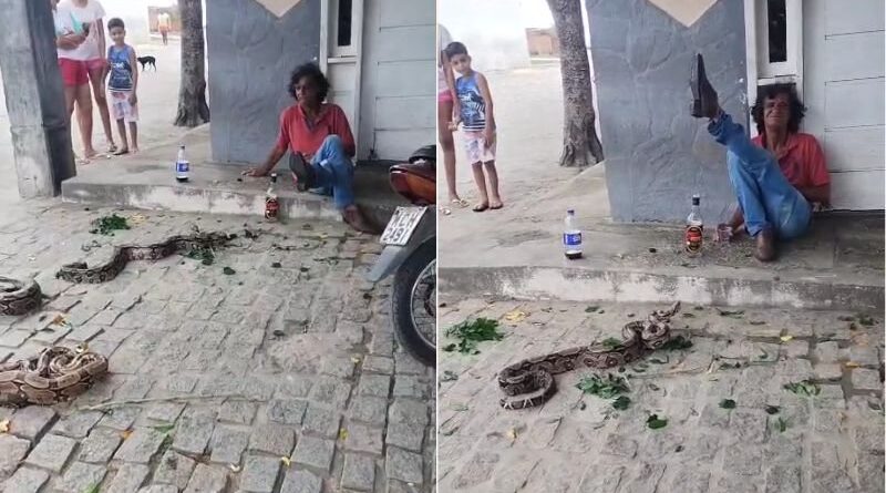 Homem solta três jiboias em praça e causa pânico em povoado de Retirolândia–BA