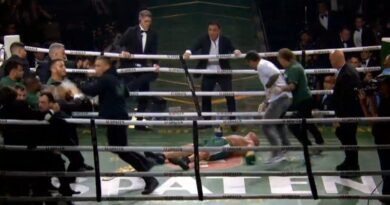 Luta entre Popó e Wanderlei Silva termina em pancadaria generalizada