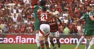 Palmeiras luta até o fim, mas sai do Maracanã com placar adverso na briga com o Flamengo pela liderança do Brasileirão