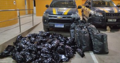 PRF apreende 109 kg de maconha em operação na BR-324, em Simões Filho