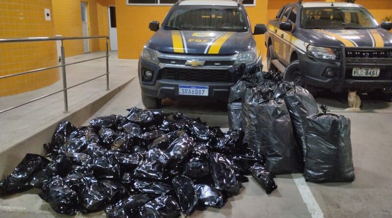 PRF apreende 109 kg de maconha em operação na BR-324, em Simões Filho