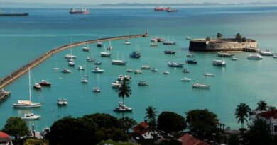 Baía de Todos-os-Santos celebra 524 anos com ações de preservação e desafios ambientais 3