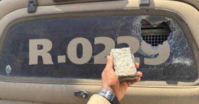 Esposa de Henrique, da dupla sertaneja Henrique & Juliano, é presa em Orlando por desobedecer abordagem e dirigir com habilitação vencida