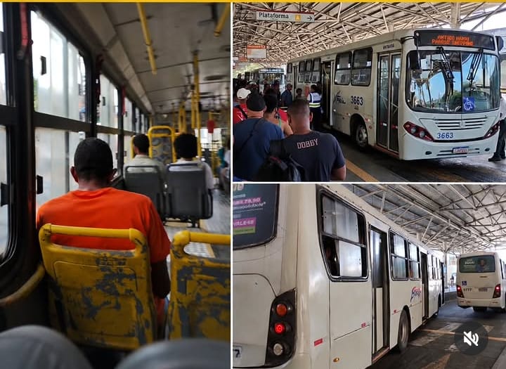 Transporte Metropolitano de Abrantes,