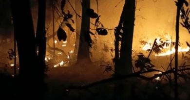 Defensoria do estado do Amazonas aciona PGR e pede novas providências do Governo Federal contra queimadas