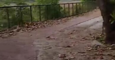 Moradores de Itacimirim cobram manutenção de via e temem proliferação de animais peçonhentos