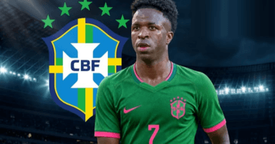 Nike pode produzir camisa da Seleção com escudo verde e rosa 2